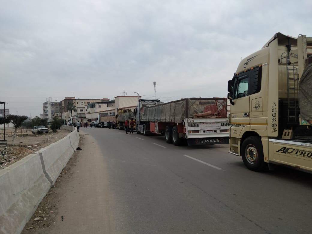 12 ألف كرتونة مواد غذائية لمستحقى تكافل وكرامة بالبحيرة  - الخبر لايف