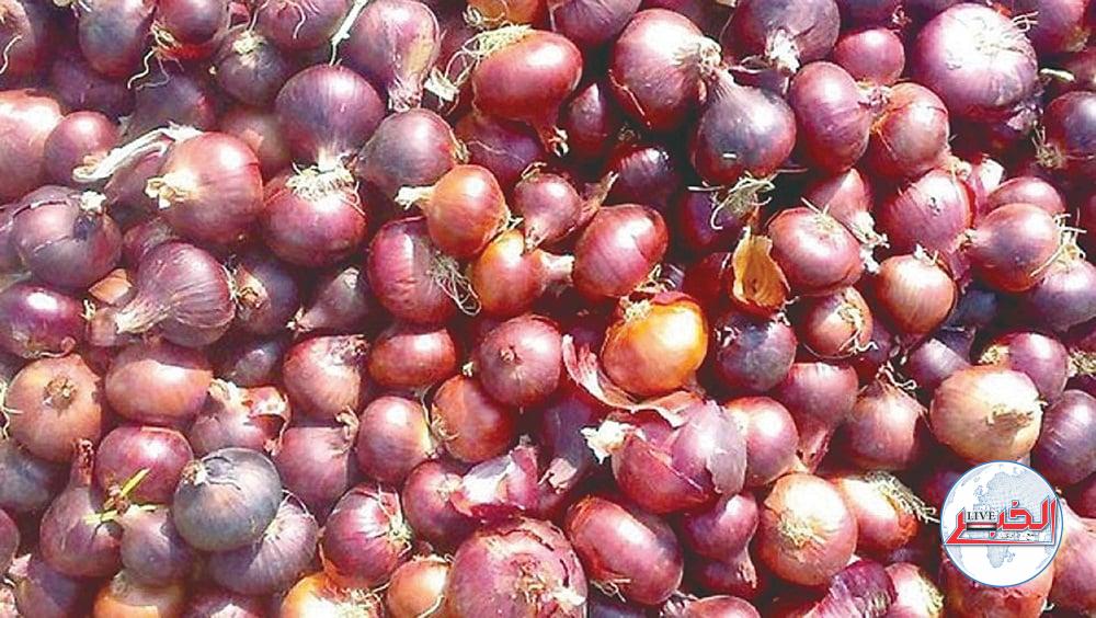 أسعار البصل والخضروات في الأسواق المصرية اليوم الثلاثاء 19-12-2023
