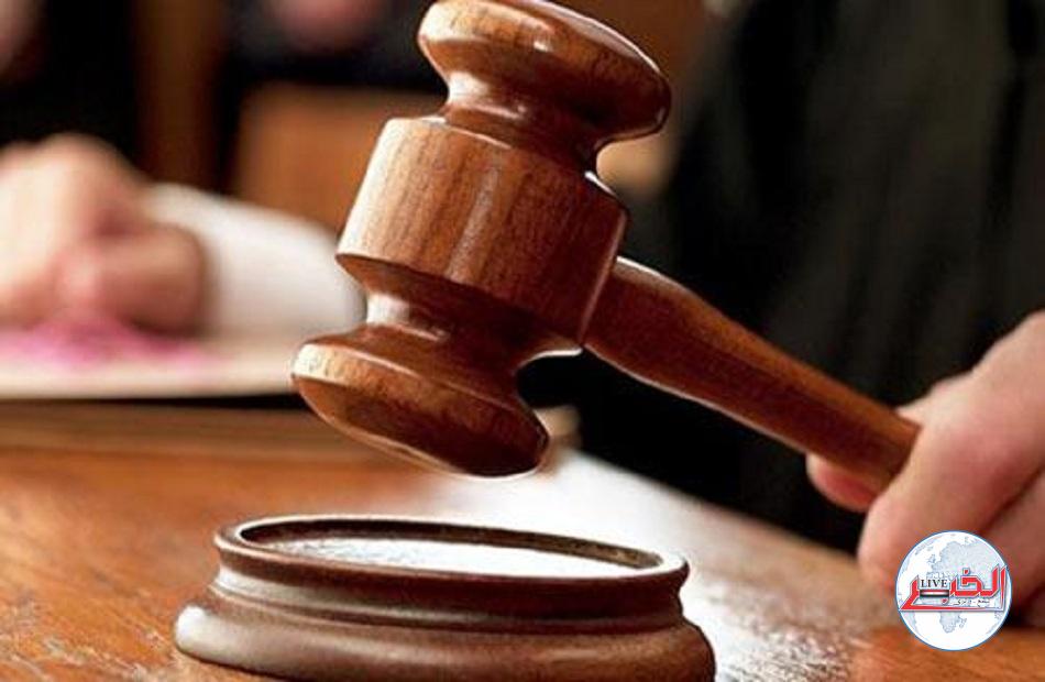 23 فبراير.. النطق بالحكم على المتهم بهتك عرض طفلة من ذوي الاحتياجات الخاصة بالبحيرة