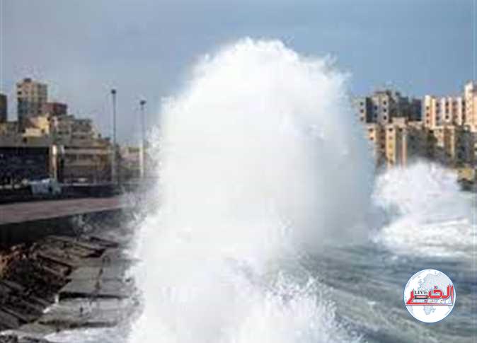 حالة الطقس غدًا الأحد 28-1-2024 في محافظة الأسكندرية