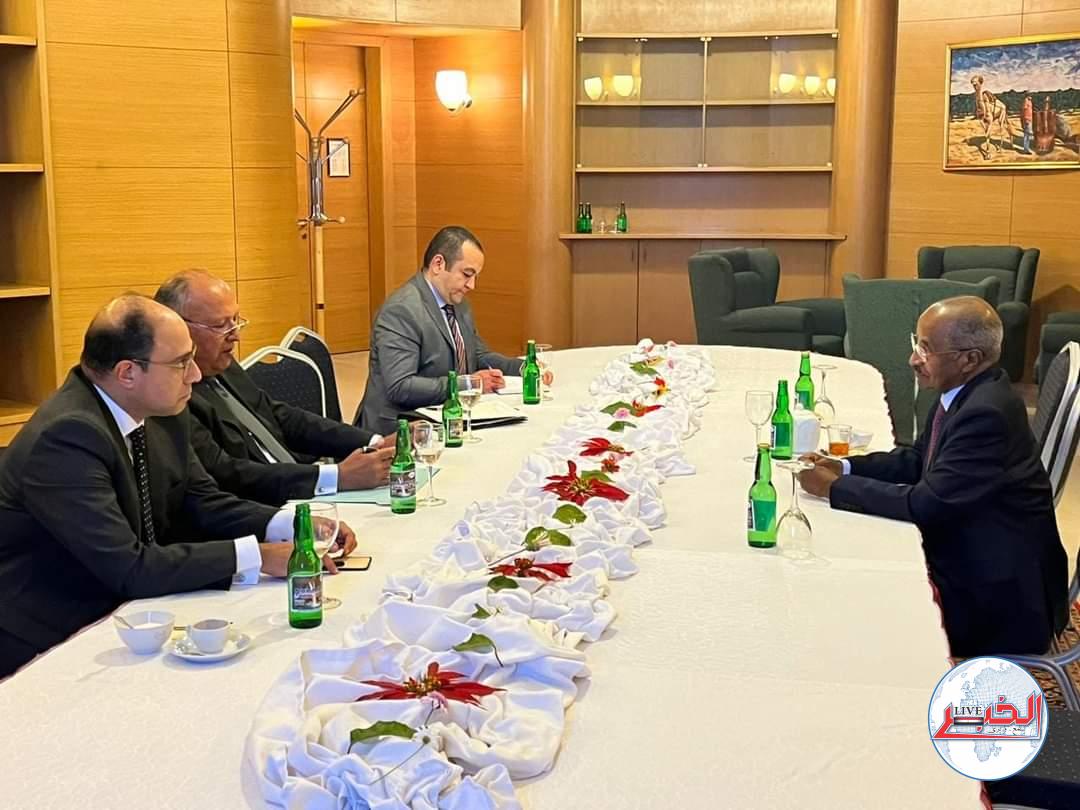 شكرى بحث مع وزير خارجية إريتريا الأوضاع الإقليمية والتحديات بمنطقة القرن الأفريقى