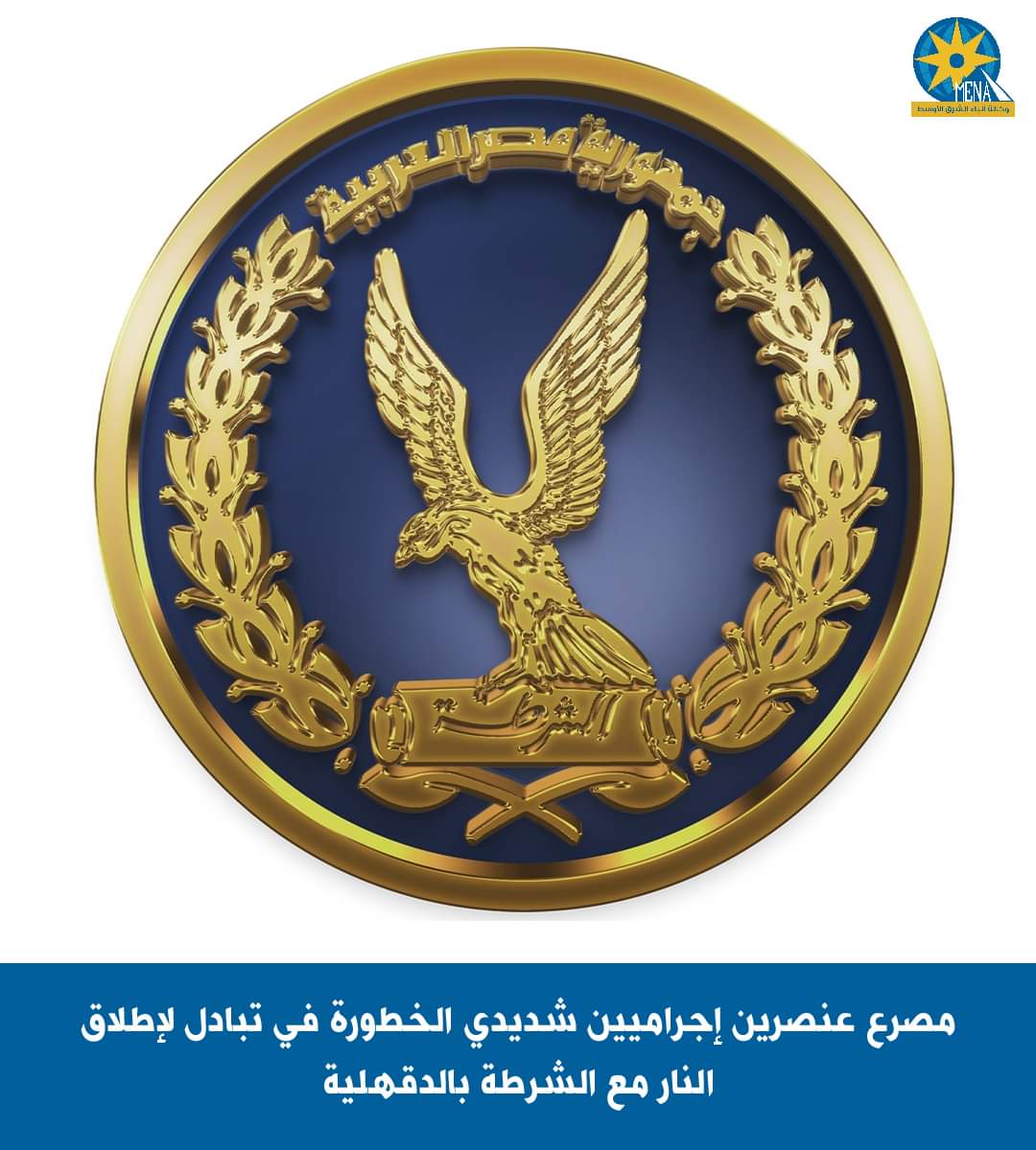 مصرع عنصرين إجراميين شديدى الخطورة فى تبادل لإطلاق النار مع الشرطة بالدقهلية