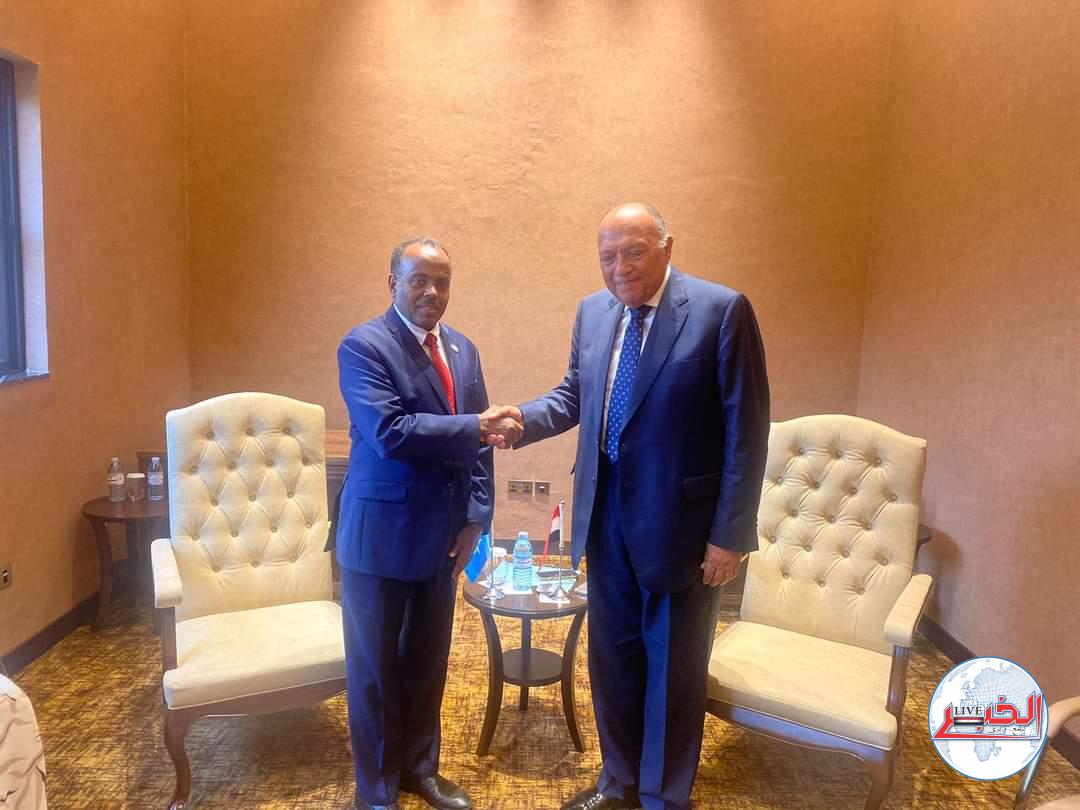 وزير الخارجية:مصر تتضامن مع الصومال ضد المحاولات الرامية لانتهاك سيادته وسلامة أراضيه