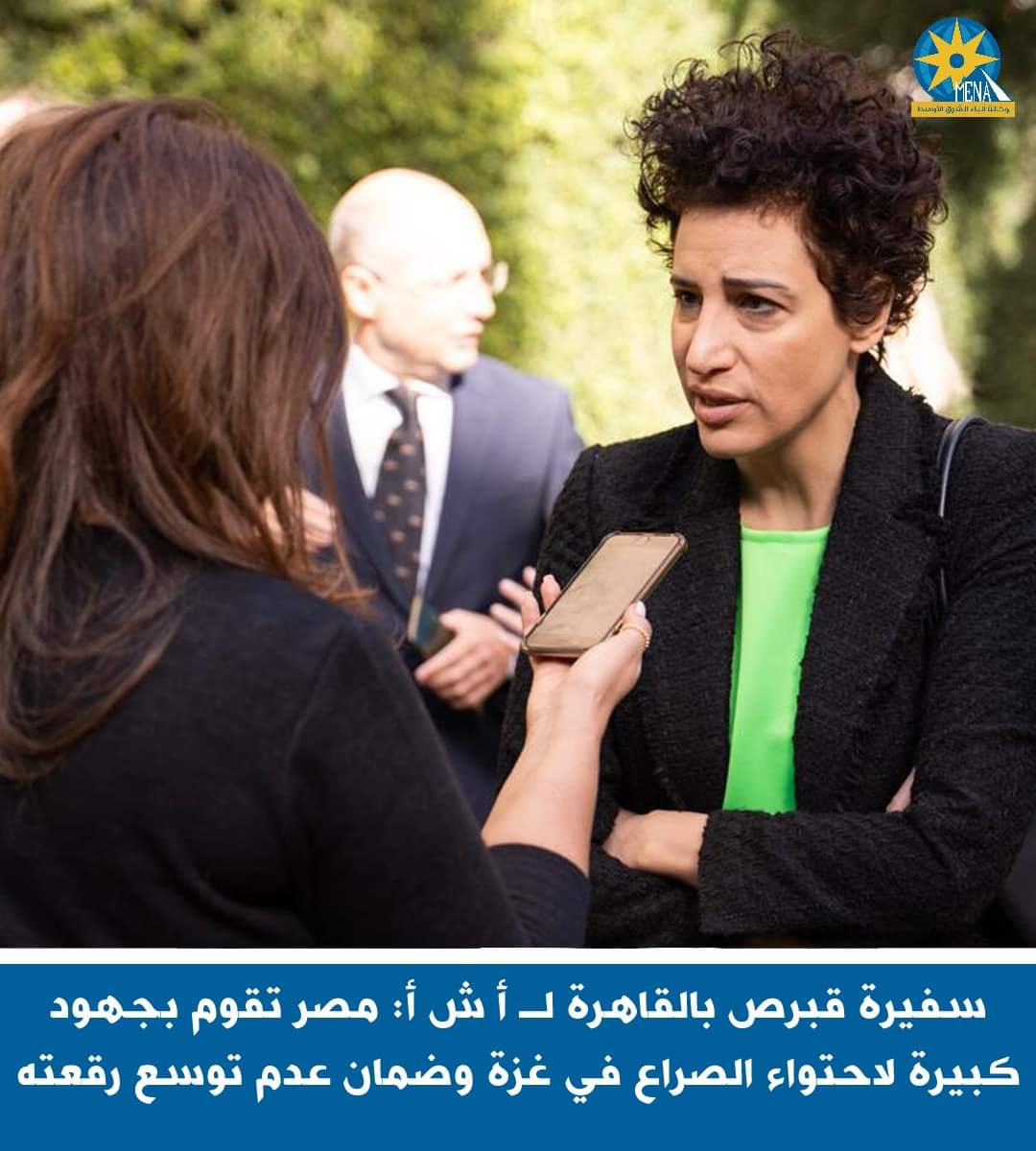 سفيرة قبرص بالقاهرة:مصر تقوم بجهود كبيرة لاحتواء الصراع فى غزة 