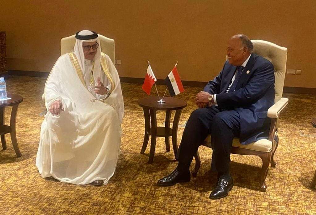وزير الخارجية يحذر من مغبة توسيع رقعة الصراع فى المنطقة على السلم والأمن الإقليمى والدولى