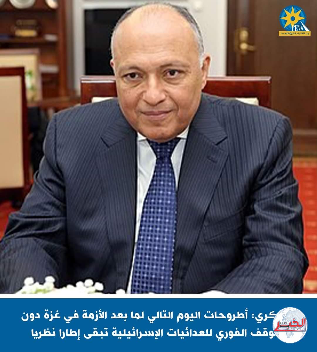 وزير الخارجية : الاستهداف الإسرائيلى المستمر لغزة يدفع بالمنطقة لمخاطر وعواقب غير محسوبة