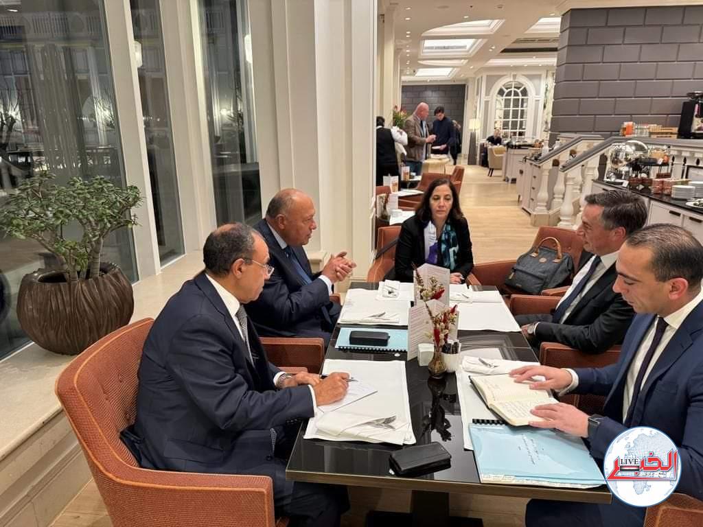 سامح شكرى بحث مع رئيس لجنة العلاقات الخارجية بالبرلمان الأوروبى القضايا الثنائية والإقليمية والدولية