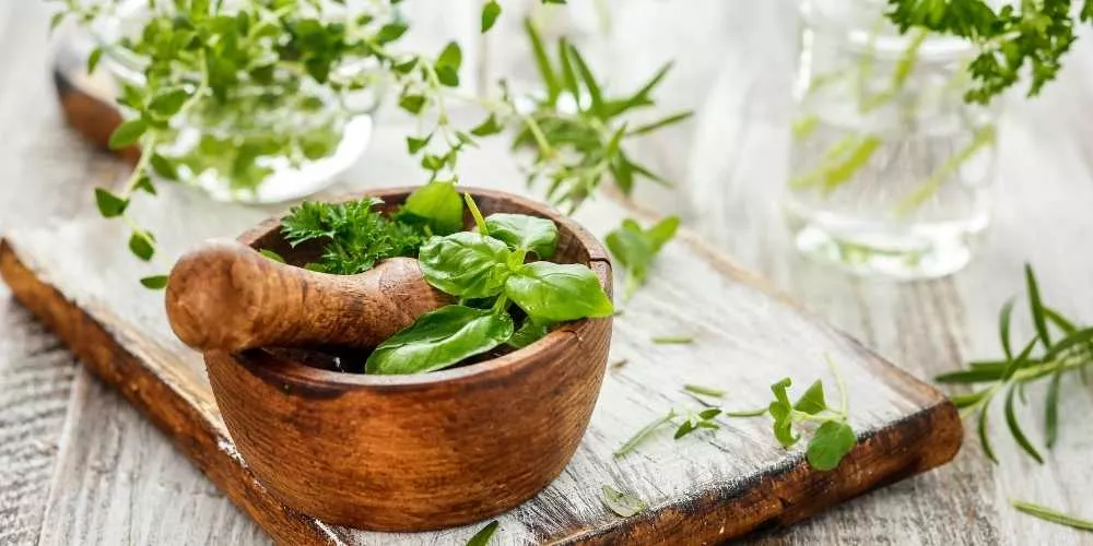مشروبات صحية .. تساعدك في التخلص من اضطرابات المعدة