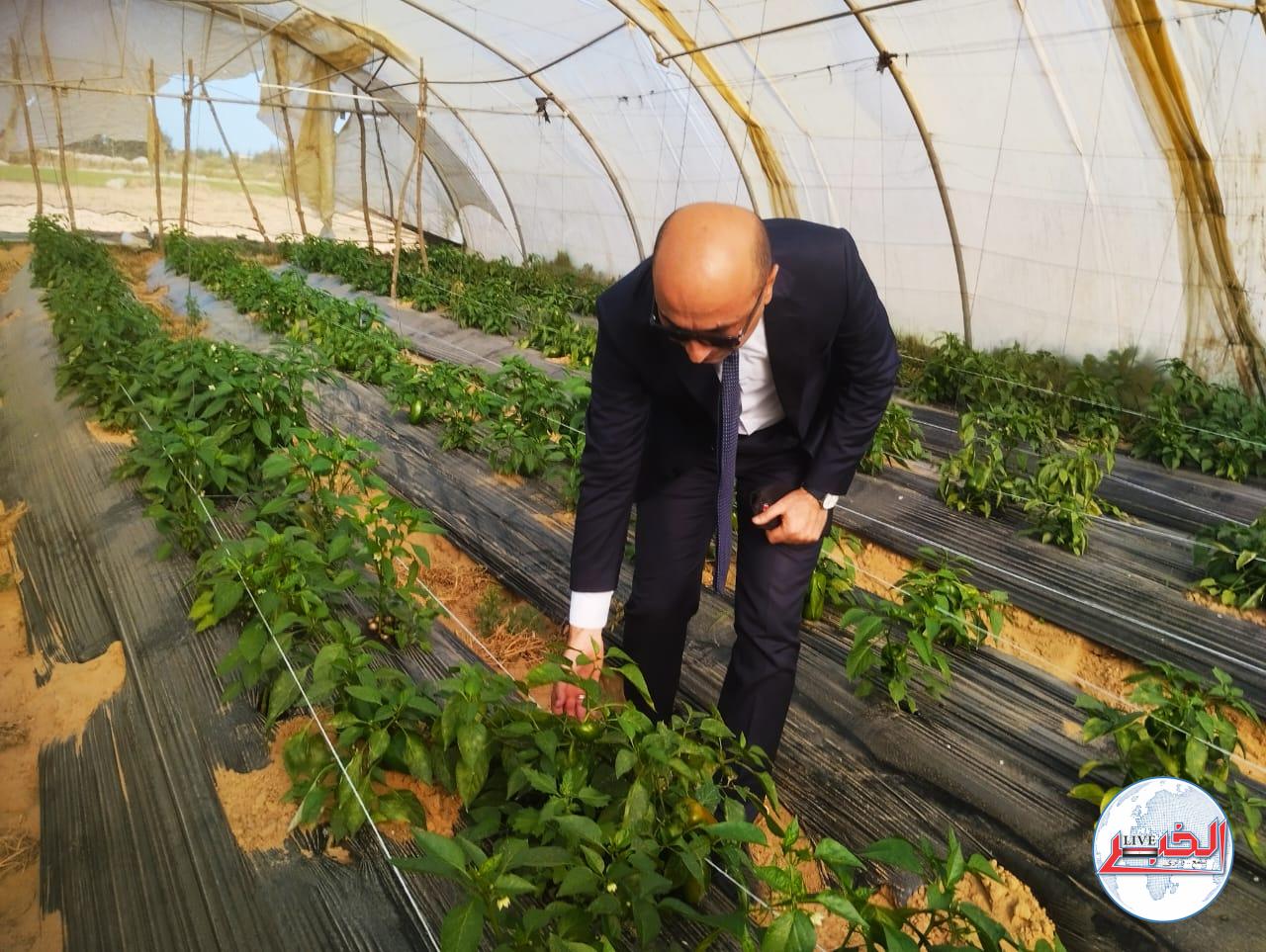 رئيس جامعة دمنهور .. يتفقد أعمال التطوير بمجمع البستان