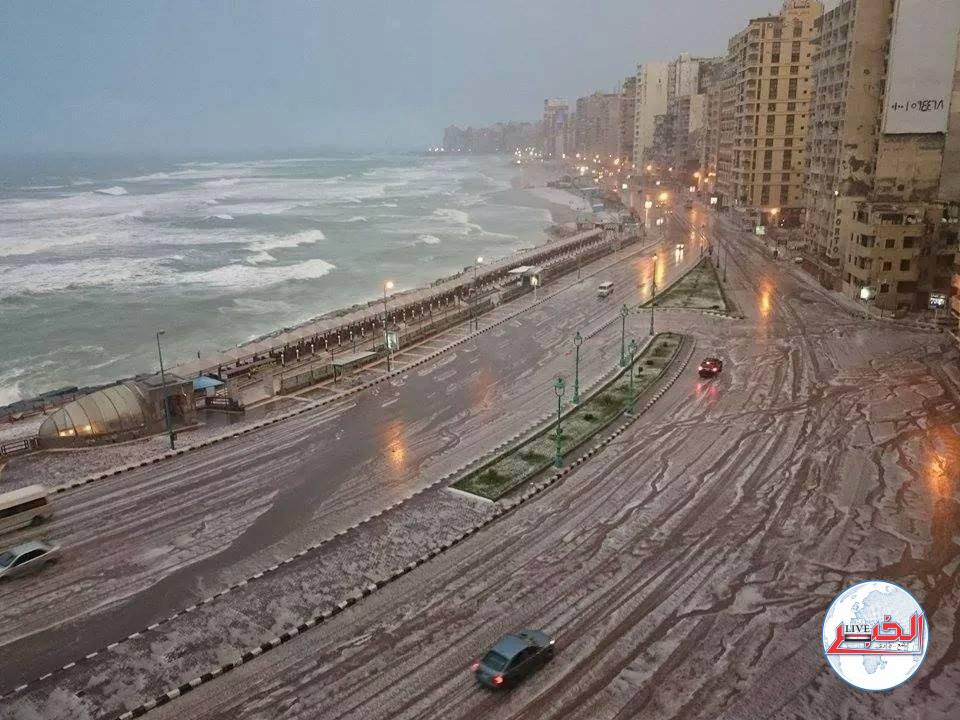 حالة الطقس غدًا الأربعاء 31-1-2024 في الأسكندرية
