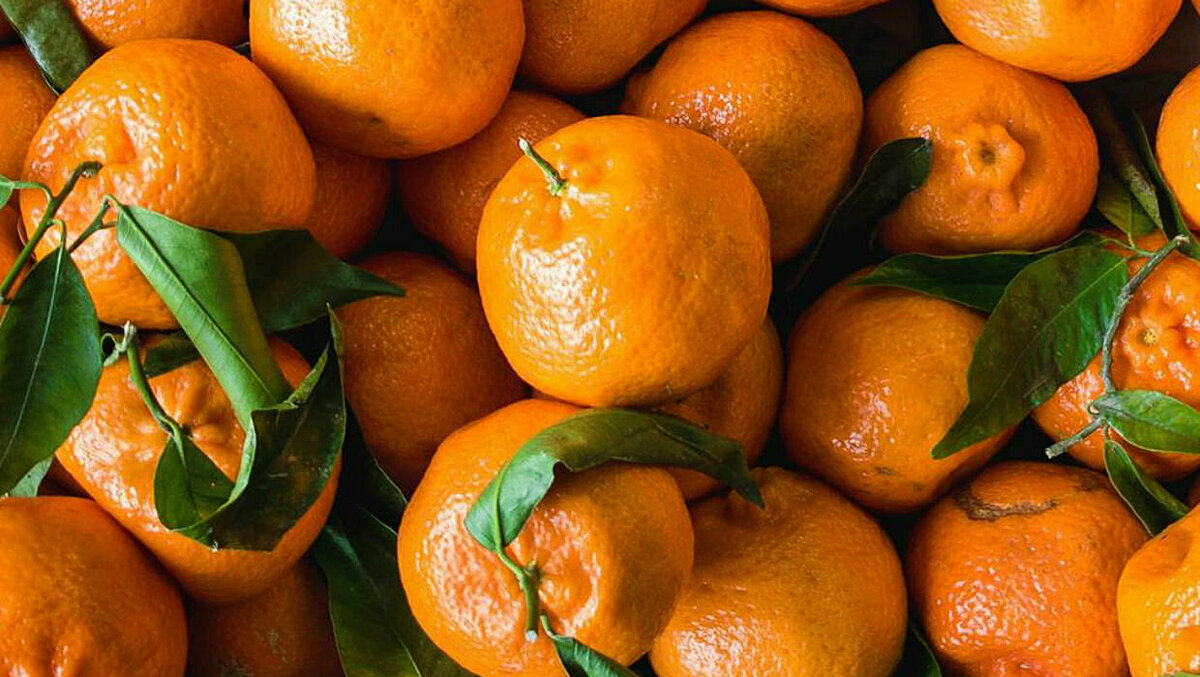 تجنب تناول اليوسفي مع هذه الأطعمة .. وفي هذه الأوقات