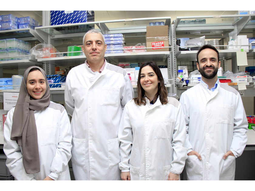 دراسة حديثة .. تكشف عن تأثيرات سلبية للأطعمة عالية المعالجة على الجسم