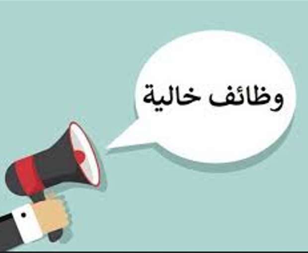 الشباب والرياضة تعلن عن وظائف خالية لجميع المؤهلات.. الشروط والأوراق المطلوبة