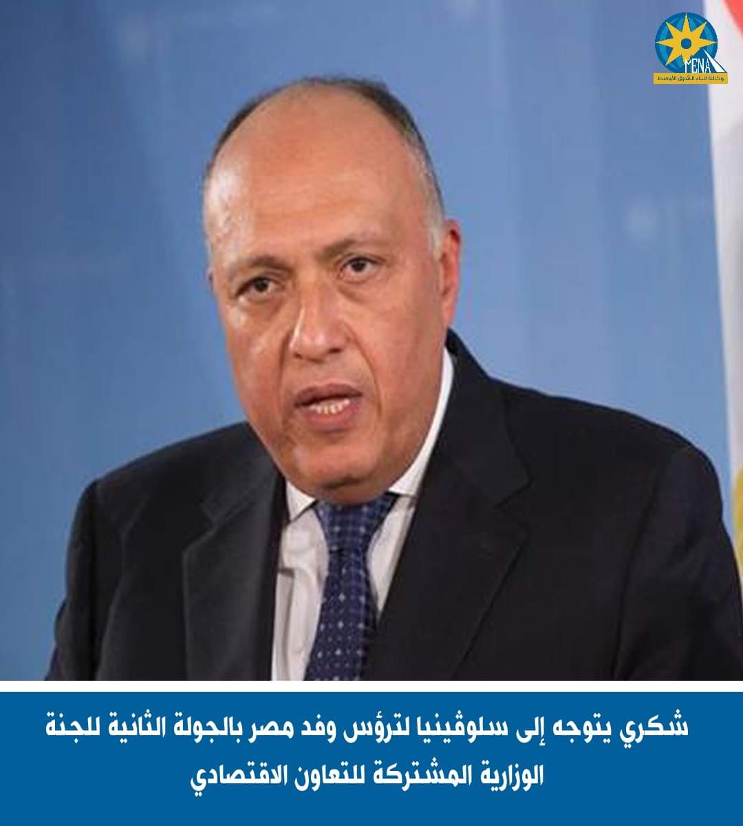شكري يتوجه إلى سلوفينيا ويبحث تعزيز العلاقات الثنائية 