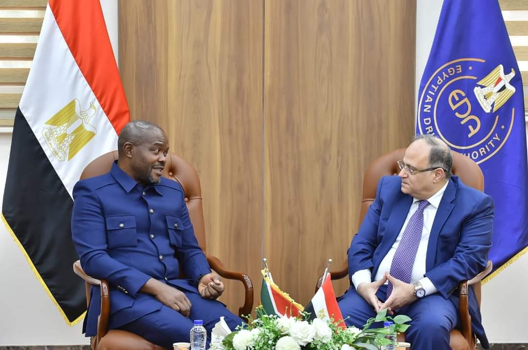 تعزيز التعاون مع جنوب أفريقيا فى الصناعات الدوائية