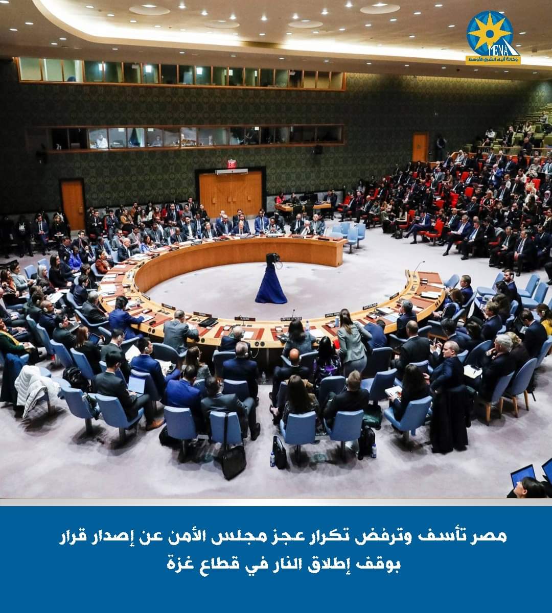 مصر تستنكر الفيتو الأمريكى..وتصف عجز مجلس الأمن عن إصدار قرار بوقف الحرب فى غزة بالمشين - الخبر لايف