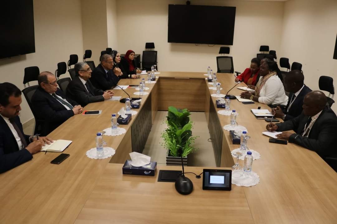 وزير الكهرباء يبحث مع الوزير المفوض للطاقة بتنزانيا دعم التعاون الثنائى 
