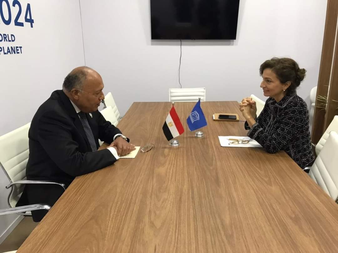 وزير الخارجية يلتقى مدير عام منظمة اليونسكو