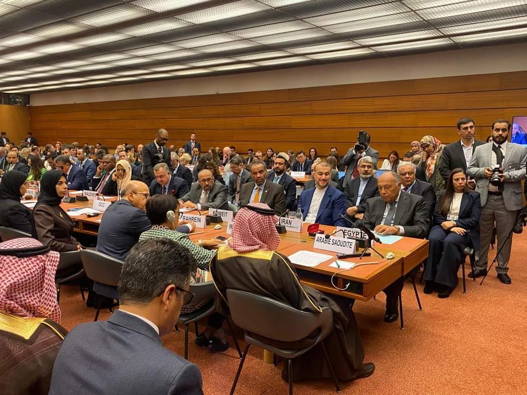 وزير الخارجية من جنيف : غض بعض الأطراف  بمجلس حقوق الإنسان البصر عن معاناة الفلسطينيين..أمر مشين