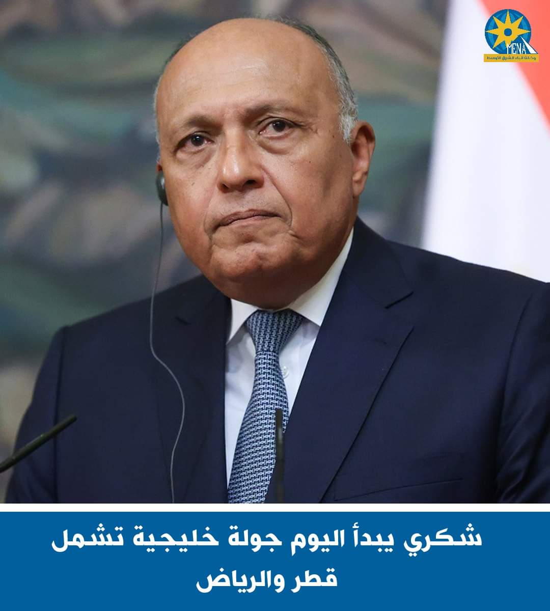 وزير الخارجية سامح شكرى يبدأ جولة خليجية تشمل الدوحة والرياض