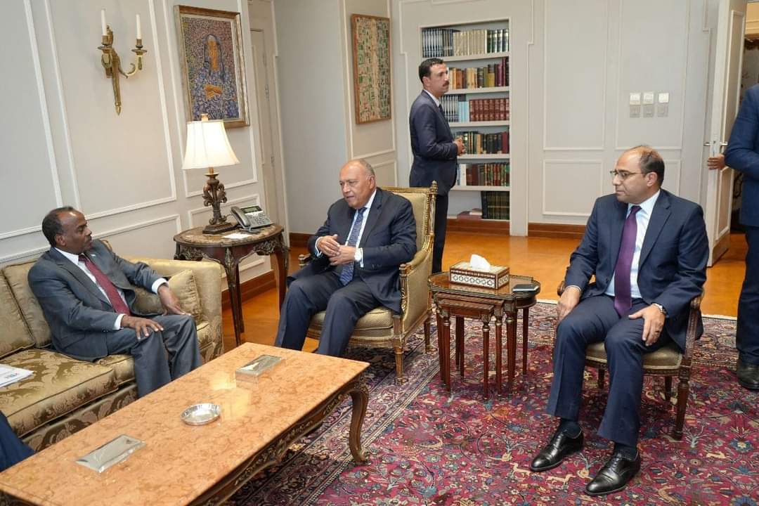 وزير الخارجية يستقبل القائم بأعمال وزير خارجية الصومال 