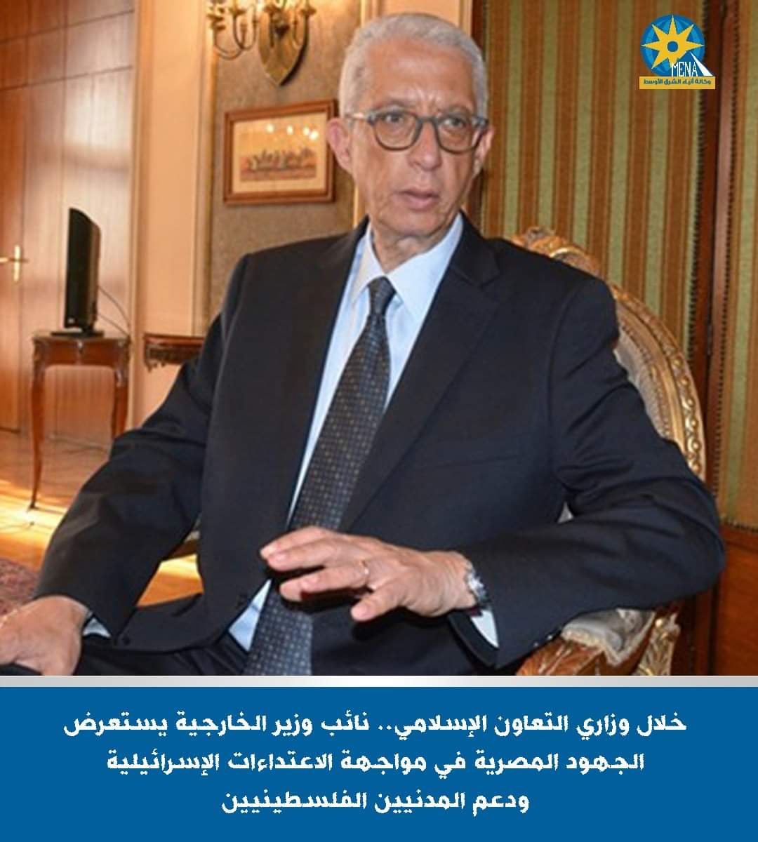 حمدى سند : مواجهة الإعتداءات الإسرائيلية ودعم المدنيين الفلسطينيين