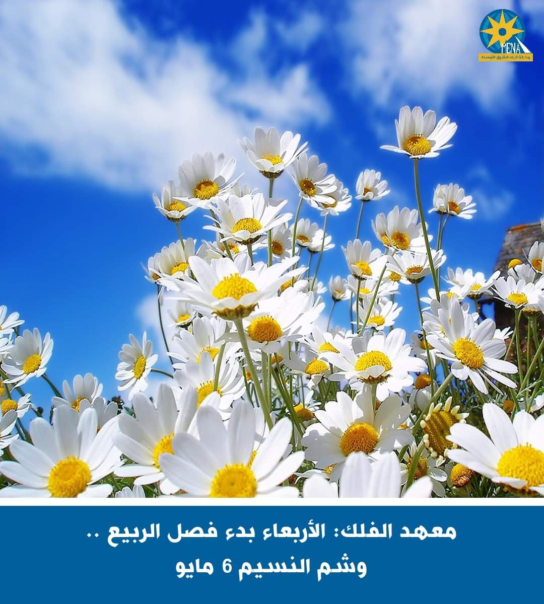 الأربعاء بداية الربيع..و6مايو شم النسيم