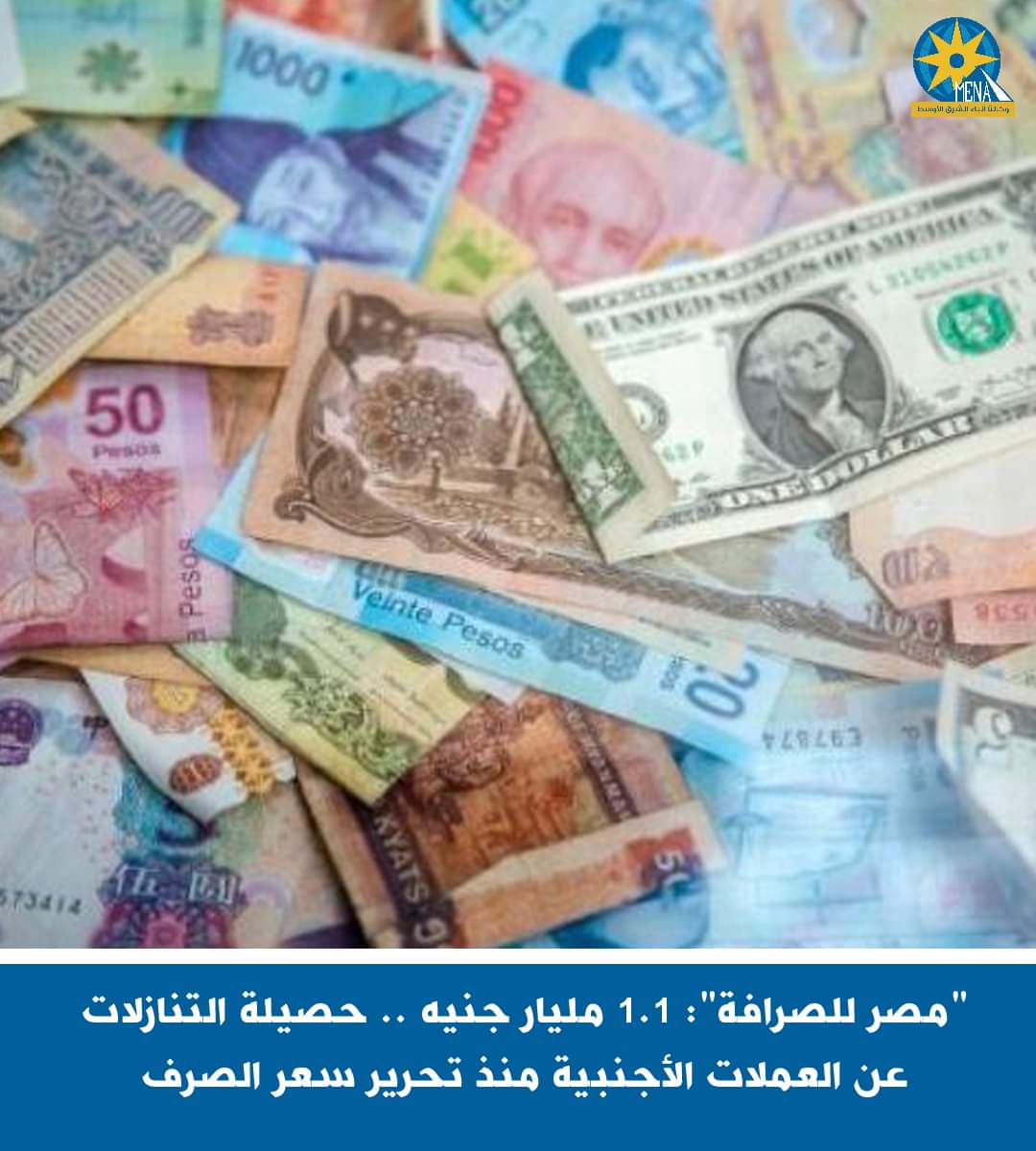 "مصر للصرافة": 1.1 مليار جنيه..حصيلة التنازلات عن العملات الأجنبية منذ تحرير سعر الصرف