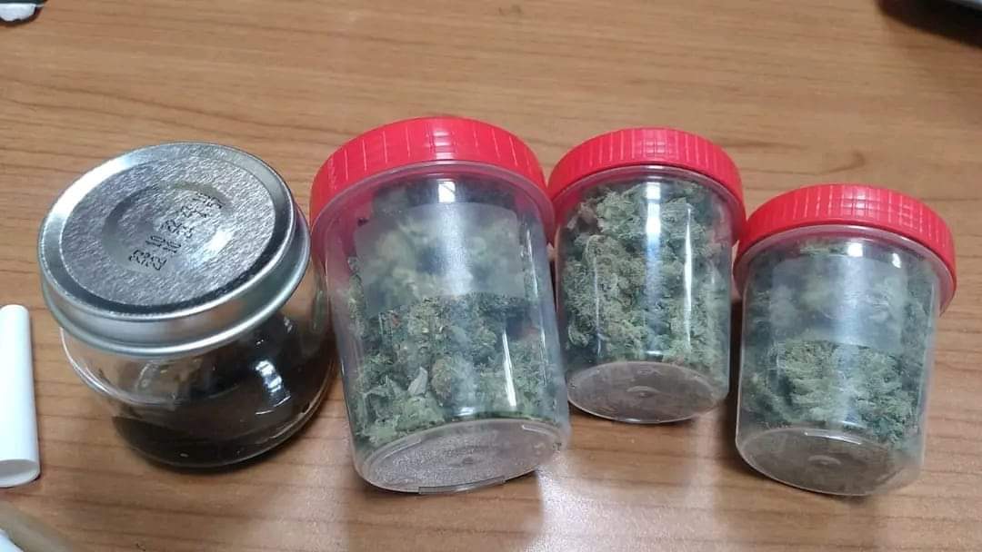 ضبط محاولة تهريب كمية من نبات وزيت الماريجوانا