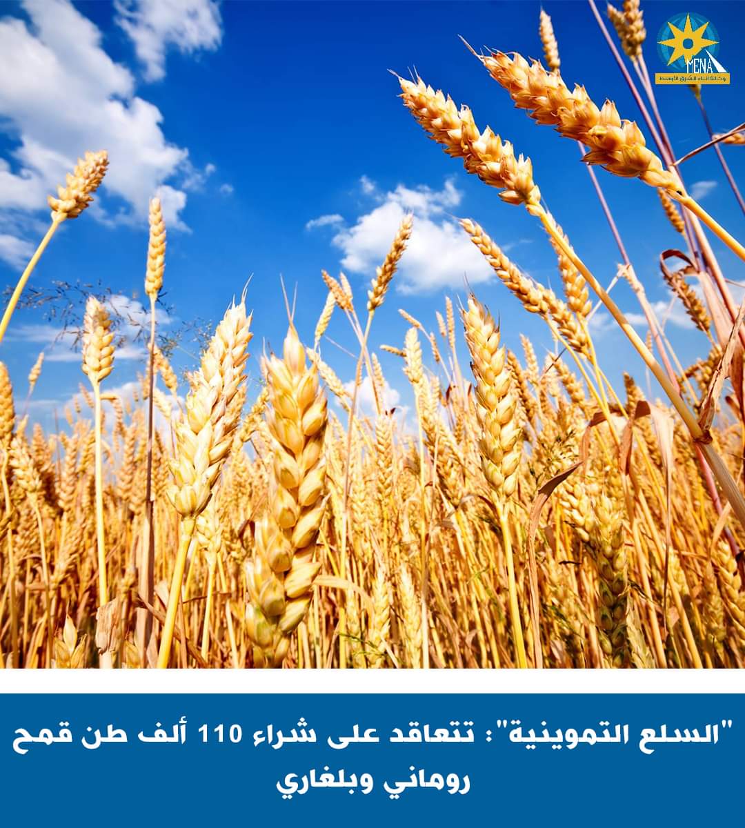 شراء 110 آلاف طن قمح بلغارى ورومانى