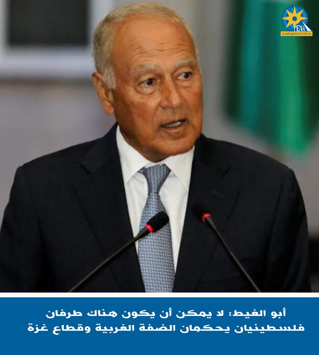 أبو الغيط:لا يمكن أن يكون هناك طرفان فلسطينيان يحكمان الضفة وغزة