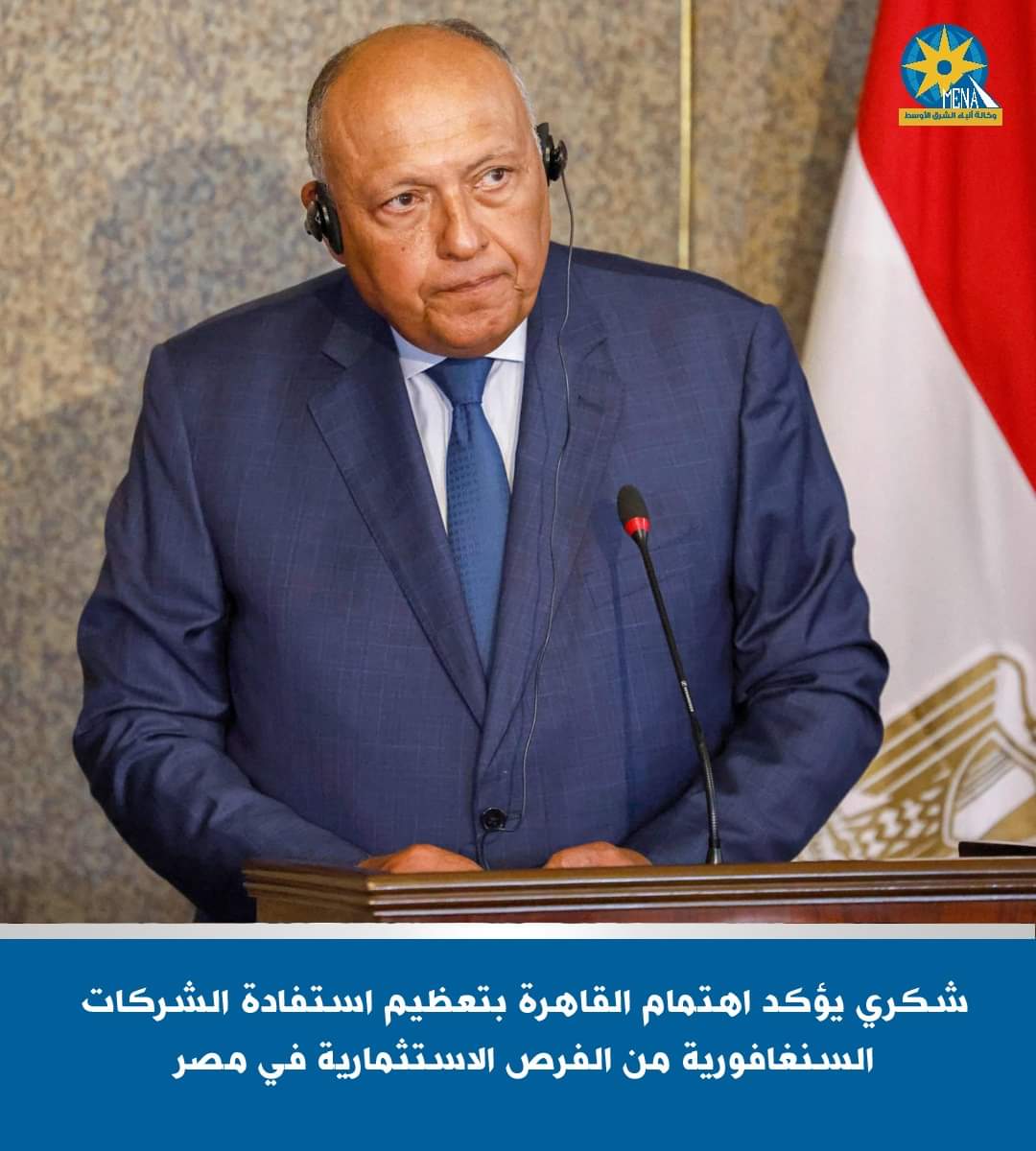 وزير الخارجية يبحث مع نظيره السنغافورى تطورات الأوضاع الإقليمية والدولية
