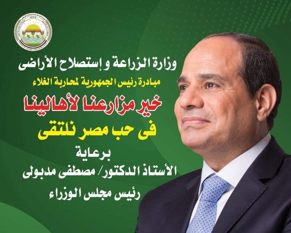 اللحمة ب270 جنيها فى منافذ وزارة الزراعة