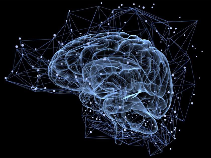 دراسة علمية: أدمغة متعددي اللغات .. تعمل بشكل مختلف مع «اللغة الأم»