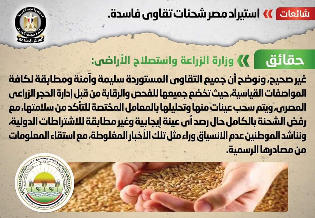 الحكومة تنفى استيراد شحنات تقاوى فاسدة
