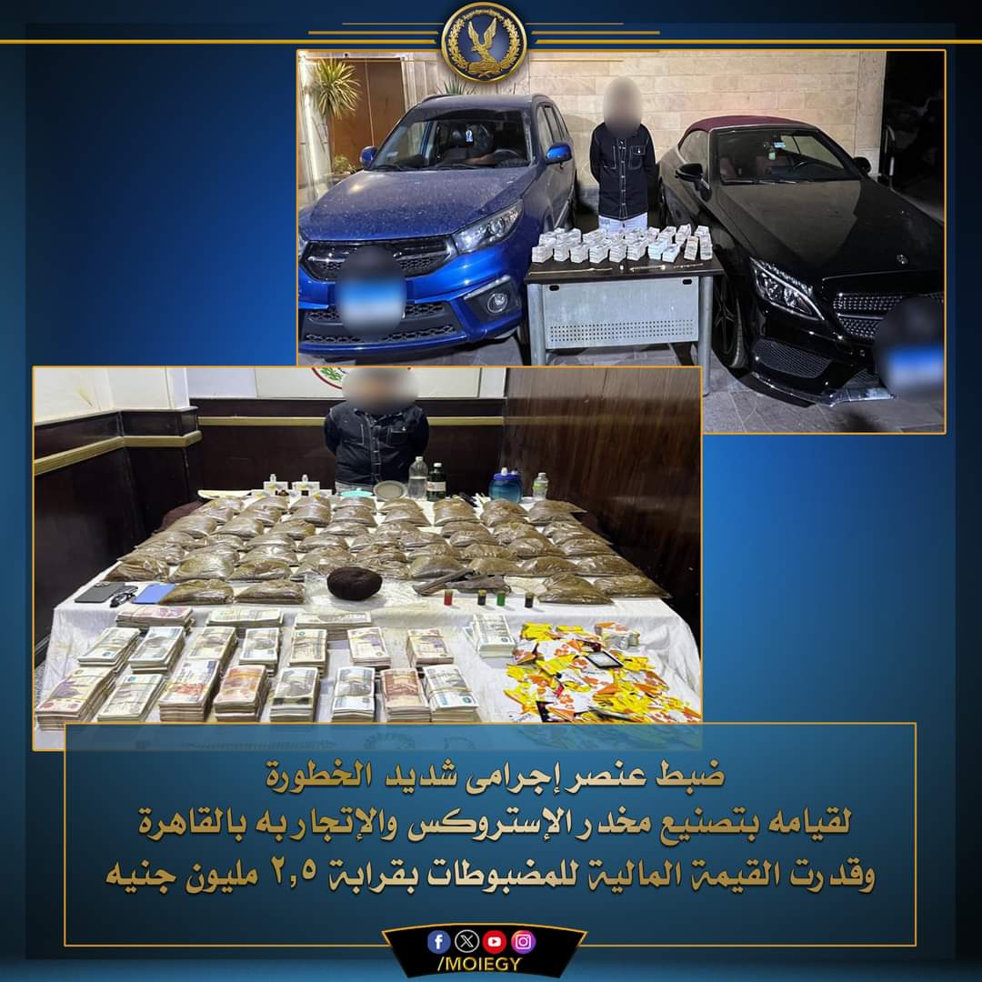 العنصر الإجرامى تخصص إستروكس