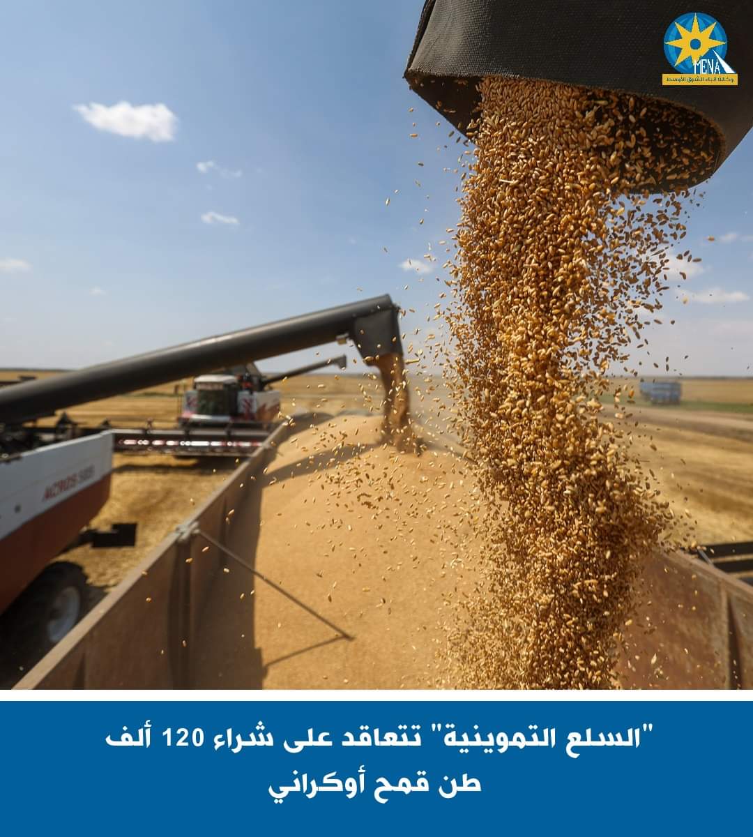 التموين تتعاقد على شراء 120 ألف طن قمح أوكرانى