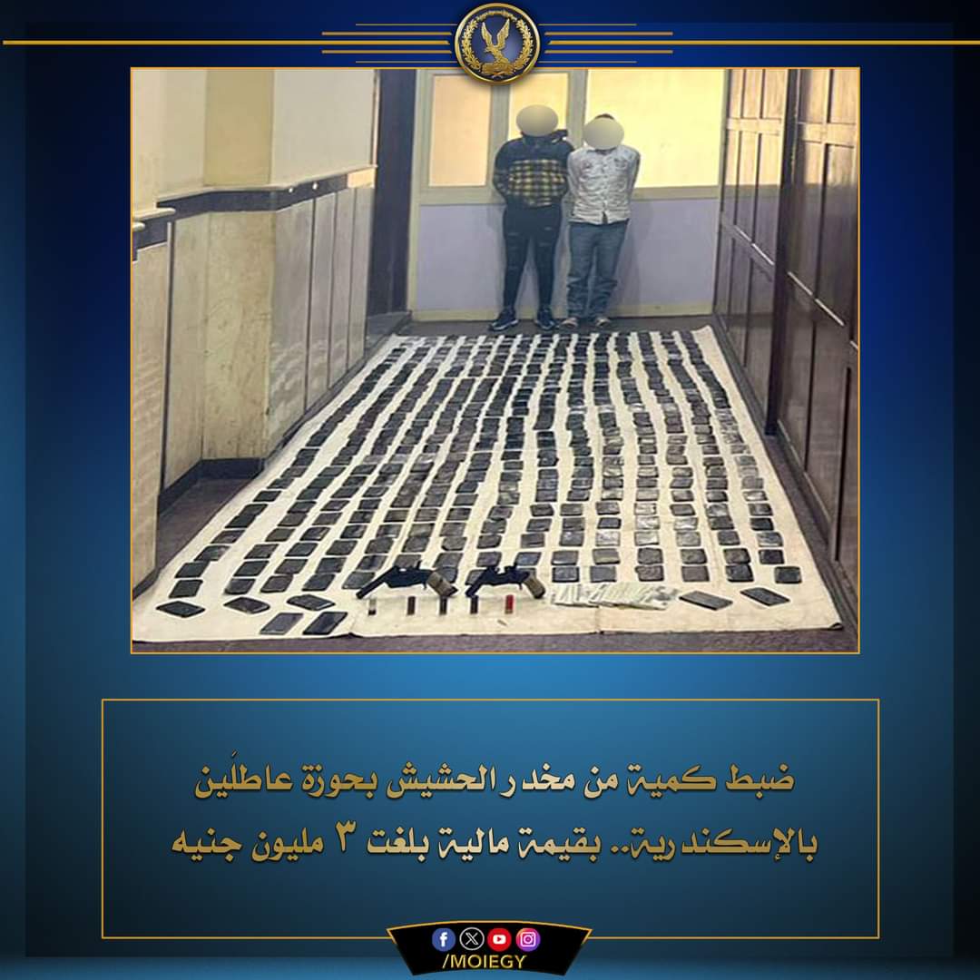 العاطلان سقطا بالحشيش