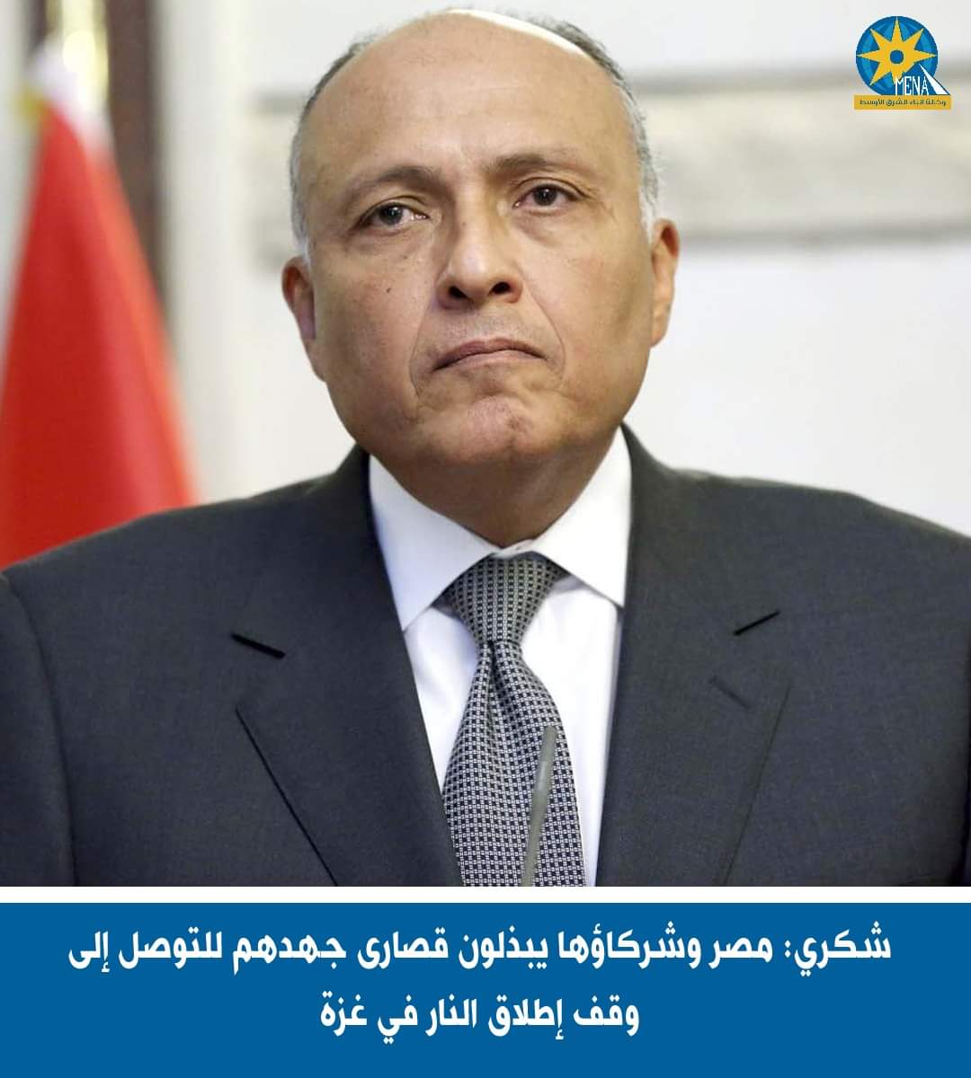 شكرى : مصر وشركاؤها يبذلون قصارى جهدهم للتوصل إلى وقف إطلاق النار فى غزة