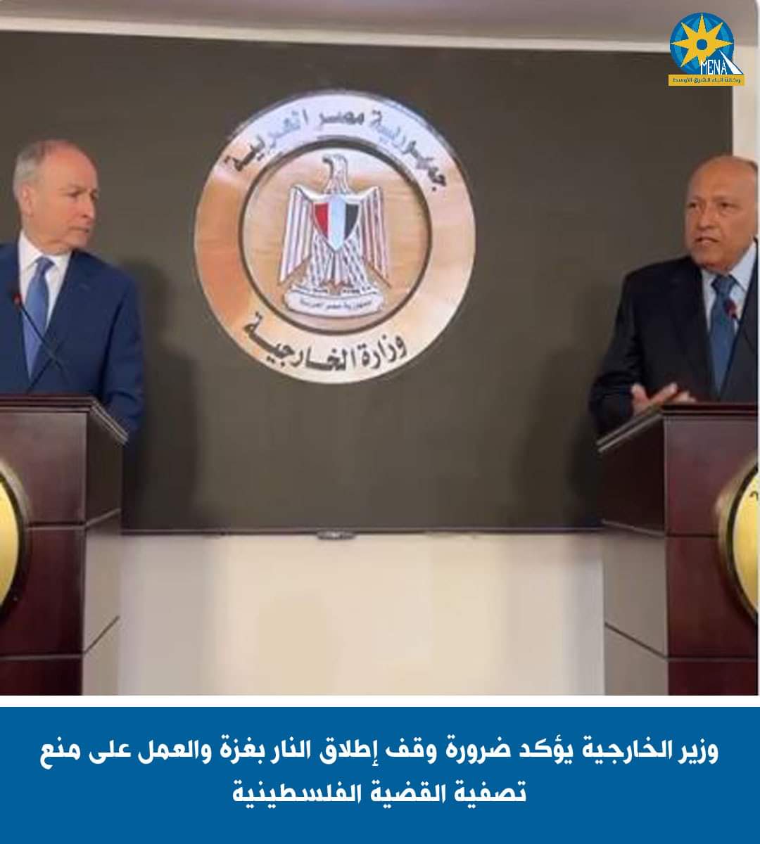 وزير الخارجية يؤكد ضرورة وقف إطلاق النار بغزة والعمل على منع تصفية القضية الفلسطينية