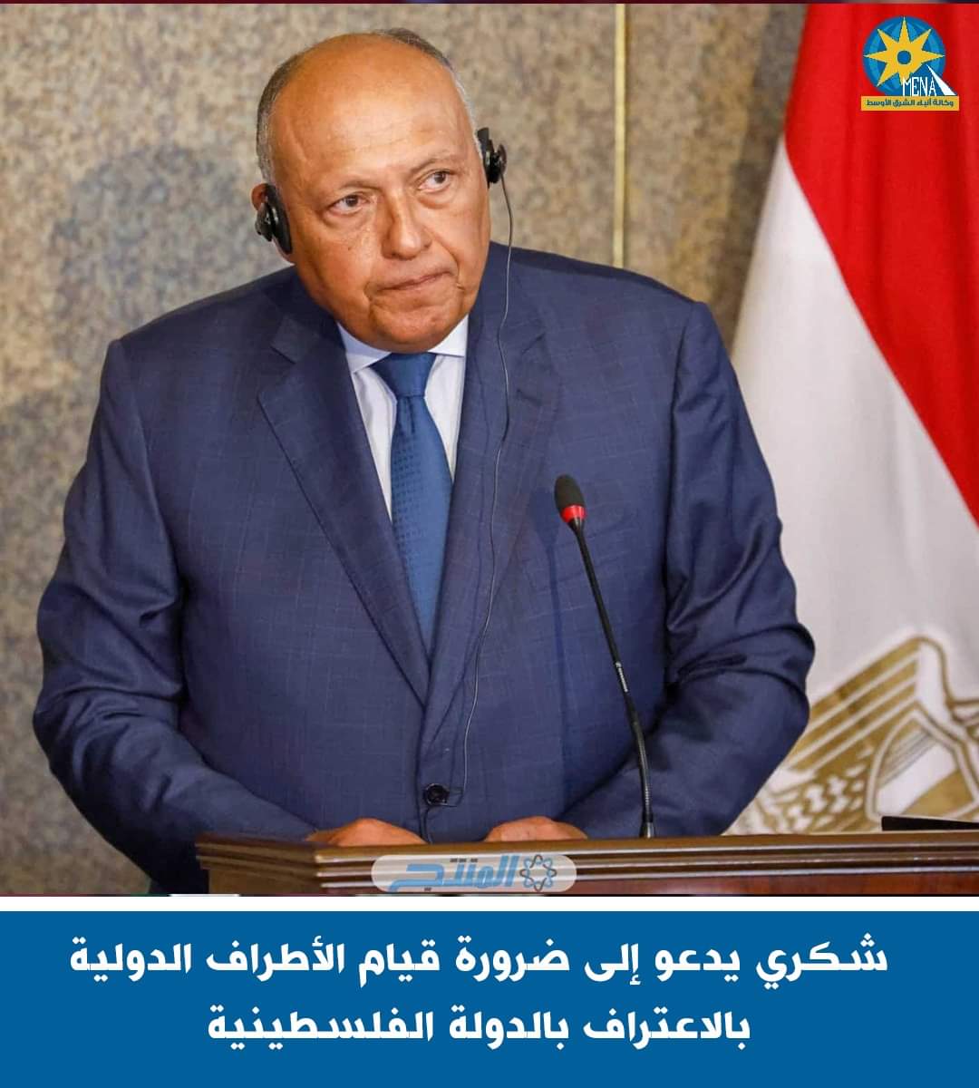 وزير الخارجية يدعو إلى ضرورة اعتراف الأطراف الدولية بالدولة الفلسطينية