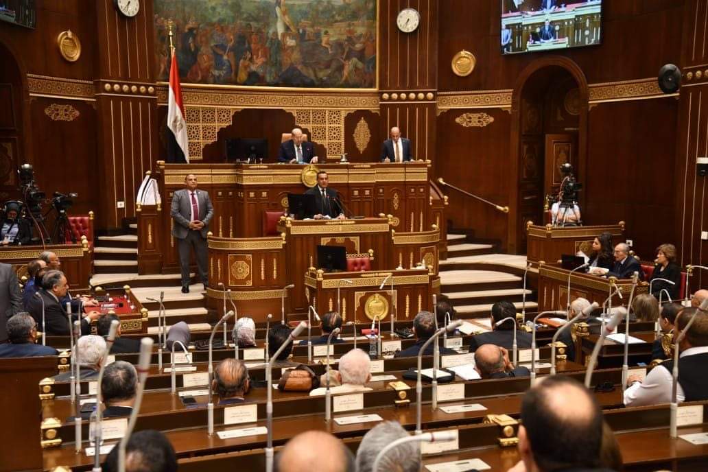 وزير التنمية المحلية : نسعى للحفاظ على الرقعة الزراعية وردع المخالفين والمتعدين بالتنسيق مع الداخلية والجيش