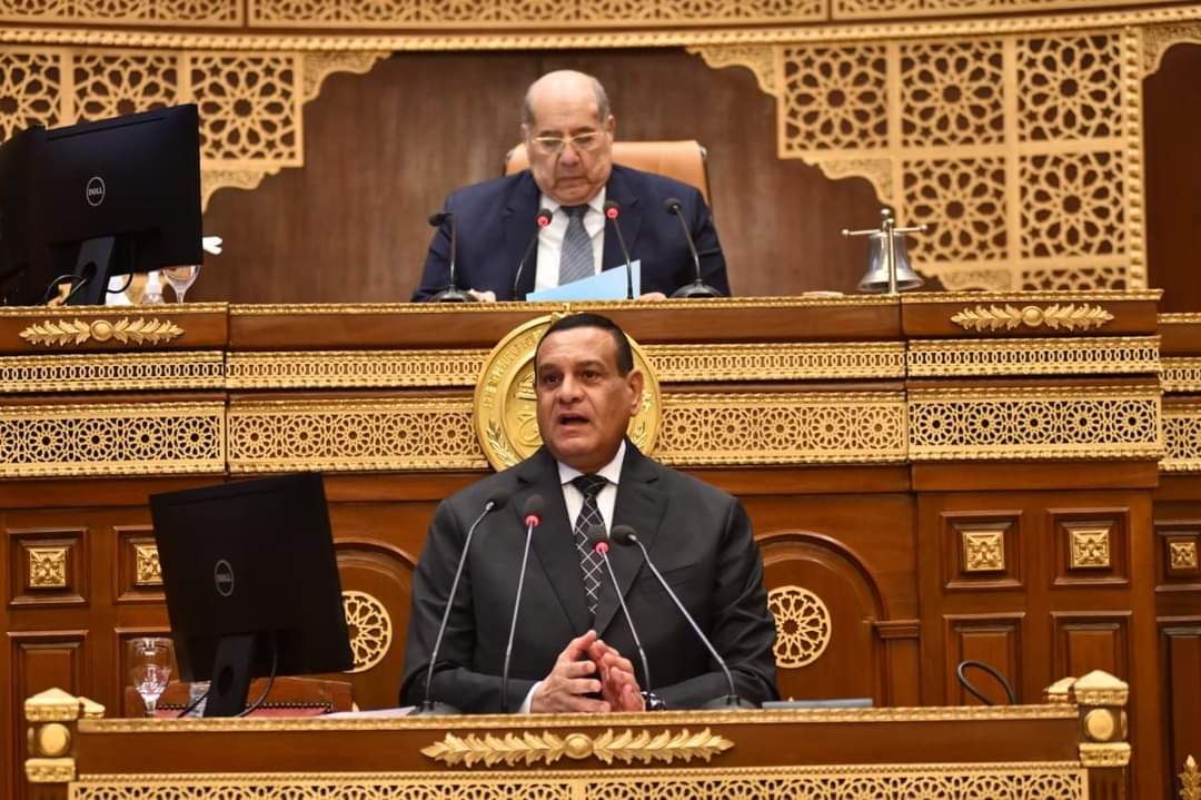 آمنة : تمويل 30 ألف مشروع من صندوق التنمية المحلية ب229 مليون جنيه