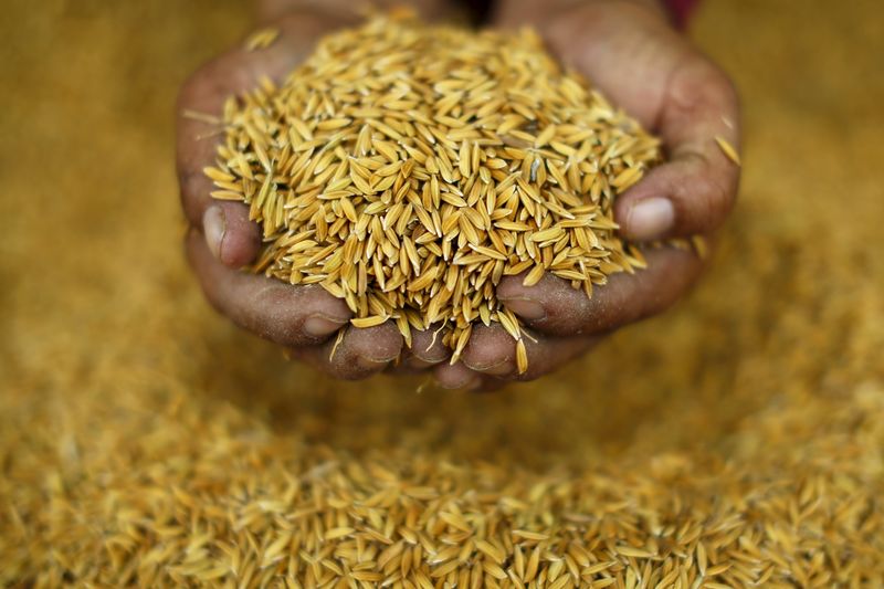 انخفاض أسعار الأرز  2000 جنيه في الطن