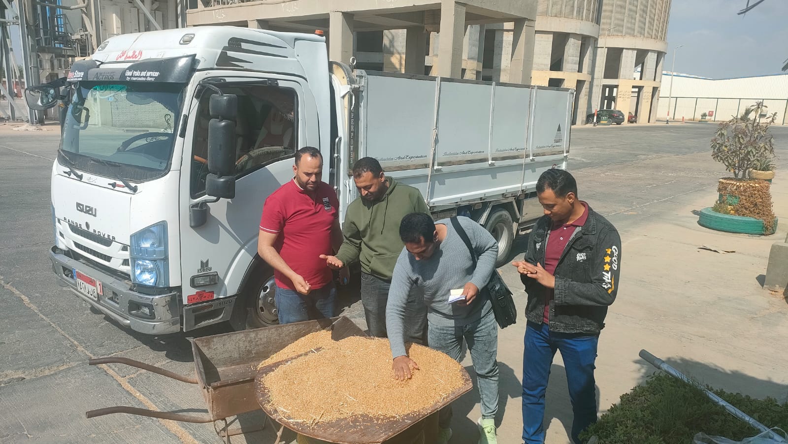 توريد 2885 طن قمح  لشون وصوامع البحيرة