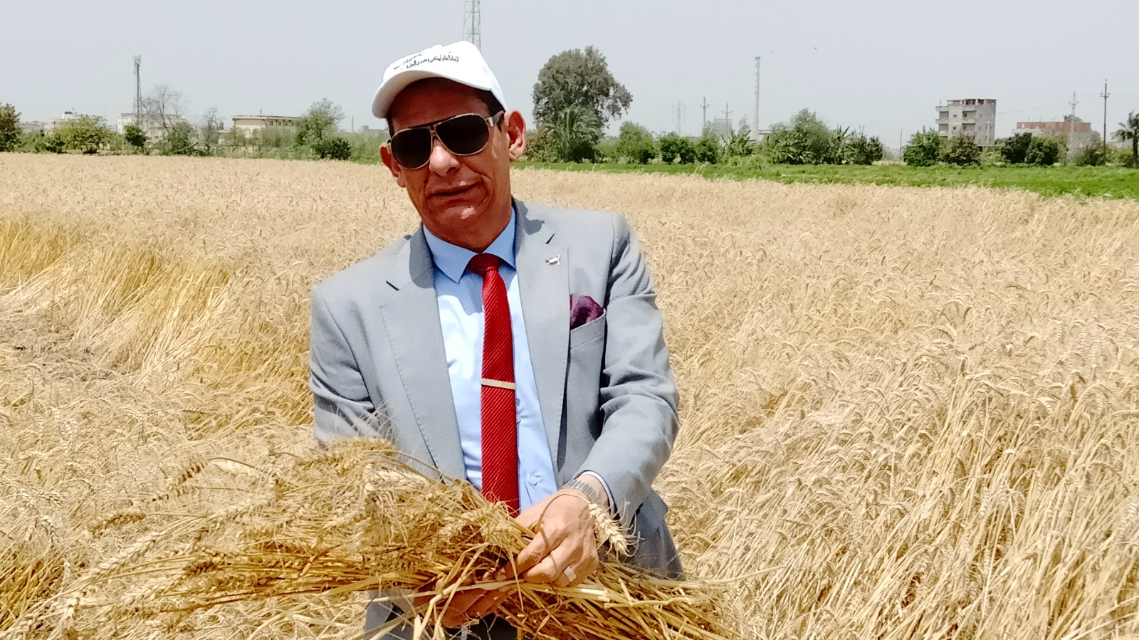 وكيل زراعة البحيرة يتفقد زراعات القمح بمركز دمنهور.. صور