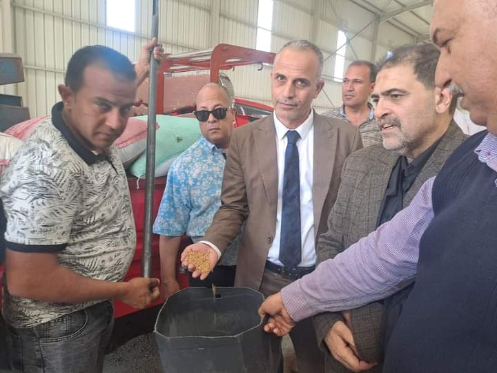 البحيرة: توريد 7545 طن قمح للشون والصوامع حتي الآن