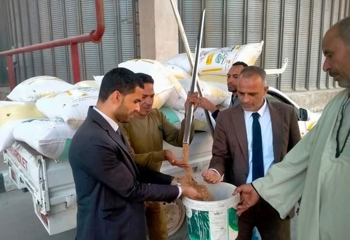 توريد 4716 طن قمح لشون وصوامع البحيرة.. صور