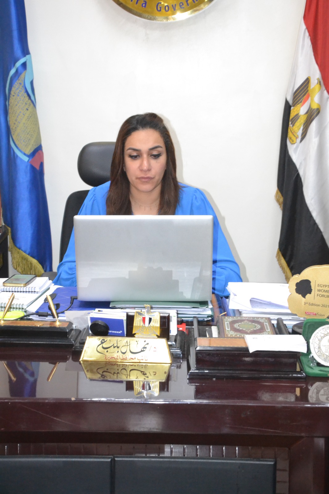 نائب محافظ البحيرة تشارك بورشة عمل تحضيرية للمراجعات الوطنية والمحلية الطوعية الأفريقية