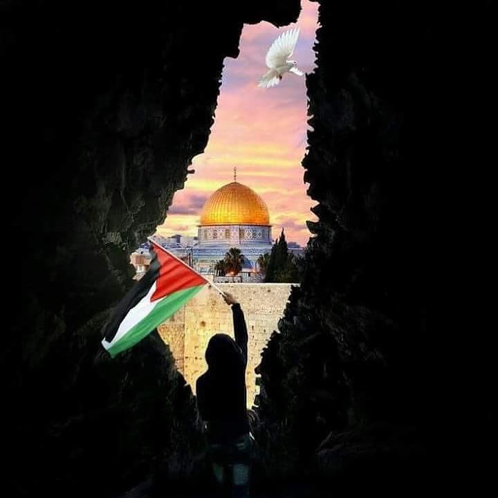 ارتفاع عدد الشهداء في الضفة الغربية منذ 7 أكتوبر الماضي .. إلى 464 فلسطينيا
